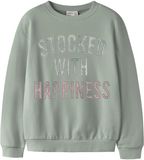 NAME IT Meisjes Trui NKFKONNA LS NREG SWEAT UNB BOX - Katoen - Groen Milieu - Maat 146/152