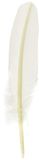 Jacques Herbin 23301ST - Een gesneden ganzenveer 21 cm, Wit