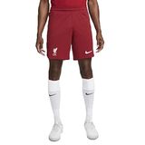 NIKE Officiële thuisshorts voor heren 2022/23