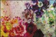 wash+dry Kleen-Tex Colour Blast - Voetmat - 115 x 175 cm