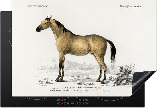 KitchenYeah® Inductie beschermer 77x51 cm - Paard - Vintage - Dier - Inductiebeschermer - Inductiemat