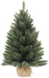 Triumph Tree Forest Frosted Kunstkerstboom H90 x D61 cm