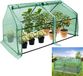 LARS360 serre voor tomaten, folieserre, HDPE serre, tomatenkweekserre, vroege serre, 180x90x90 cm, warmtebescherming, groen