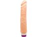 Fleshlight BAILE VIBRATORS | Baile Waves Of Pleasure Realistic Vibrating 25.5cm