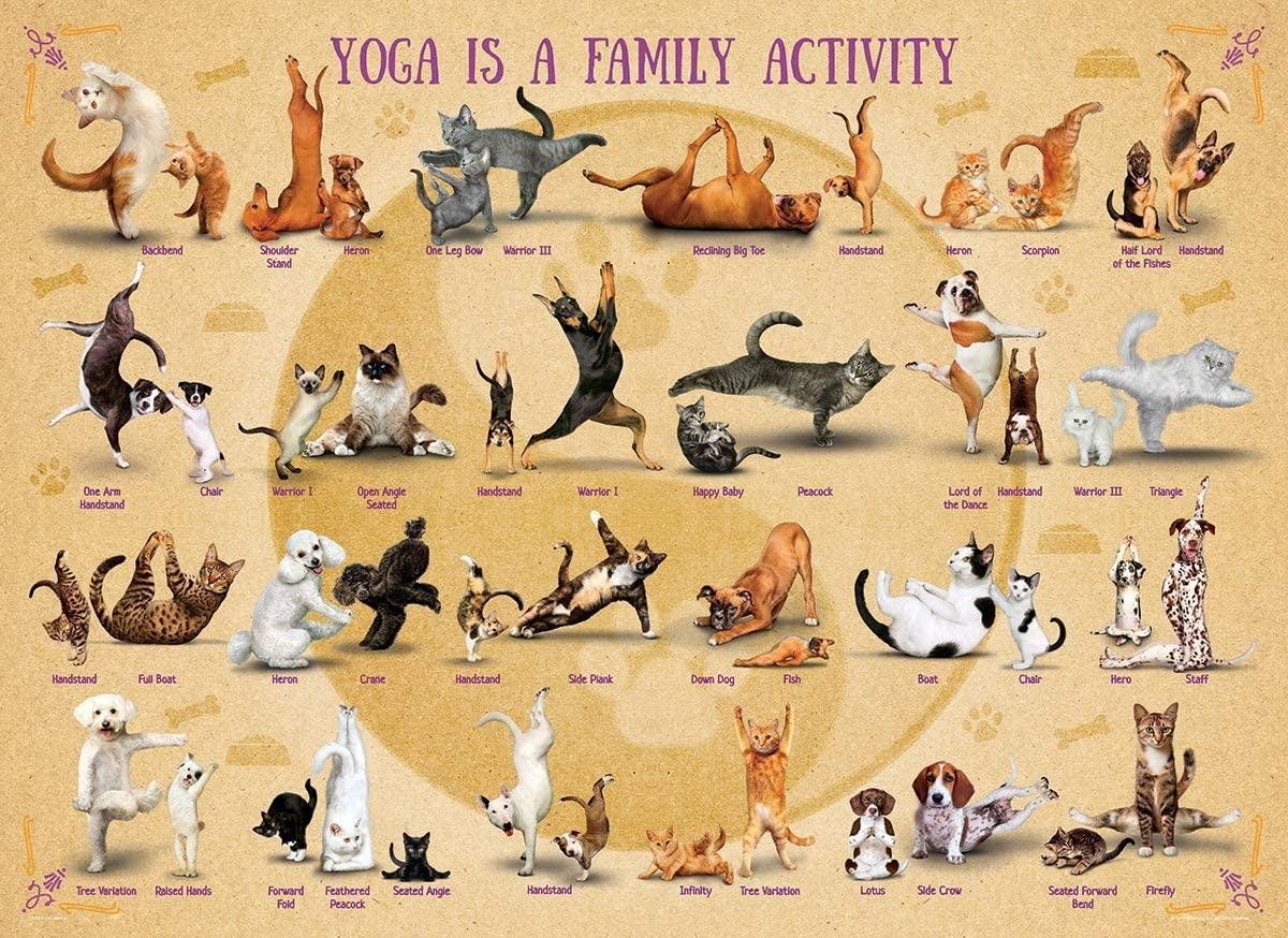 Eurographics Yoga is a Family Activity puzzel (500) - 0628136753548