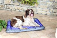 Sogni e capricci Waterdichte mat voor honden en katten, blauw, 55 x 38 x 5,5 cm