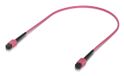 Ubiquiti UACC-OFC-MA-MPMP-0.5M-10 InfiniBand câble en fibre optique 0,5 m MPO-12 Rose