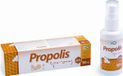 Virde Vaporisateur Propolis - 20% oplossing, 50 ml