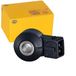 HELLA 6PG 013 114-361 Klopsensor