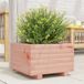 Maison Exclusive Jardinière 40x40x26,5 cm en bois massif de Douglas