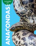 Curiosidad Libri GmbH Curiosidad Por Las Anacondas Paperback