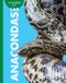 Curiosidad Libri GmbH Curiosidad Por Las Anacondas Paperback