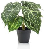 Emerald - Kunstplant in pot Anthurium 23cm - Kunstplant voor binnen