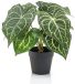Emerald - Kunstplant in pot Anthurium 23cm - Kunstplant voor binnen
