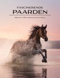 Fascinerende Rebo Productions Fascinerende paarden