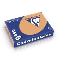 Clairefontaine Gekleurd Papier Mokkabruin 160 grams A4 (250 vel)