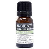Accient Wisdom Oude Wijsheid Biologische Etherische Tea Tree Olie - 10ml - Aromatherapie