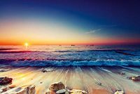 Homemania Muurfoto, motief Wall-Nature en landschappen, strand per woonkamer, slaapkamer, meerkleurig, van polyester, hout, 100 x 3 x 70 cm