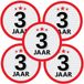 Bellatio Decorations 3 jaar leeftijd sticker - 10x - rond - Dia 15 cm - 3 jaar verjaardag - jubileum - leeftijd versiering