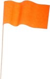 Haza-Witbaard 60x Oranje papieren zwaaivlaggetje - Holland supporter/Koningsdag feestartikelen