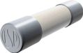 Püschel Feinsicherungen FSSF1,6B Fusible