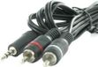 Enzo Pro-1 Audio 3,5 jack stéréo ->2 tulipe mâle 5 mètre 9201805