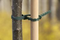 Nature Universele Bindband Groen - Klim-En Geleide Artikel - 0.2x0.5x35 cm
