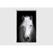 Horse Rideau Imprimé Cheval Blanc De Face Sur Fond Noir 140x245 Cm, 1 Pièce