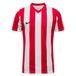 Nike Striped Division V Dri-Fit voetbalshirt voor grote kinderen, wit/university rood/zwart, FZ9341-104, M