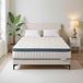 Tribesigns matelas, 160x200 cm, hauteur 25 cm, H3, 7 zones, matelas à ressorts ensachés avec certification, matelas avec noyau à ressorts et mousse à mémoire de gel