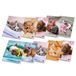 Pigna Maxi-schriften A4 DOLCI CUCCIOLI, 10 stuks, 80 pagina's, ruitjes 4 mm
