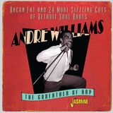 Music&Words Andre Williams - Bacon Fat And 24 More Sizzling Cuts Of Detroit South (CD)