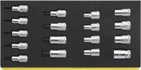 Stahlwille TCS 50TX/54TX/17 96838763 Dopsleutelinzetstuk