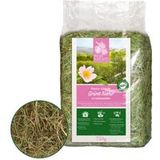 REAL NATURE Groene natuur met wilde rozenbloesems 750g