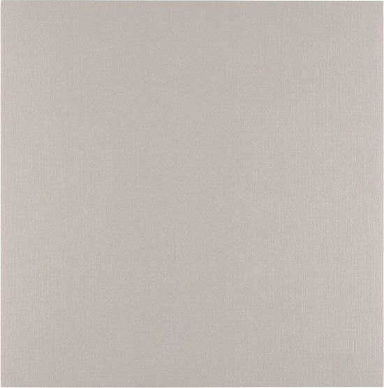 Florence Linnenkarton 250g 30,5x30,5cm Rhino 100x - Grijs - Scrapbook papier