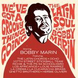 We've Vampisoul Various Artists - We've Got A Groovy Thing Going: The Latin Soul Of Bobby Marin (2 LP)