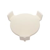 Big Green Egg MiniMax Conveggtor Plate Setter - White