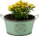 Sunnydays Pot - Zinc - Rond - Jade vert - D25 x H12 cm
