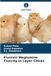 Flunixin Meglumine Toxicity in Layer Chicks