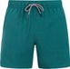 Protest Davey Maillot de bain Hommes Dark Teal Uni Coupe Regular Polyester