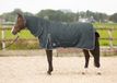 Harry's Horse Deken Thor Met Hals 200gr Grijs - 165