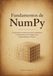 Fundamentos NumPy Fundamentos de NumPy: Computação numérica de alto desempenho e operações com arrays para desenvolvedores Python