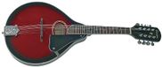 Tenson PURE GEWA Folk Mandoline A-1 Oval