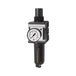 RIEGLER C 45 M-SR-10 filterregelaar