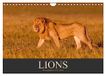 Lions Calvendo Lions - Photographies de la faune (Calendrier mural 2027 DIN A4 vertical), CALVENDO calendrier mensuel