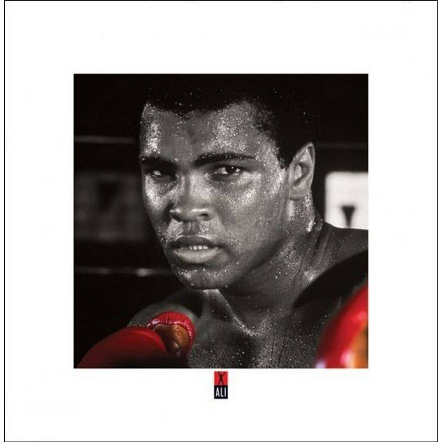 Pyramid muhammad ali boxing gloves kunstdruk 40x40cm