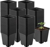 Garronda Set van 100 vierkante kunststof kweekpotten met drainagegaten voor tuin (Zwart, 9 x 9 x 9,6 cm (0,5L)) GD-KW-S