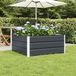 vidaXL Plantenbak Antraciet 100 x 100 x 45 cm Staal