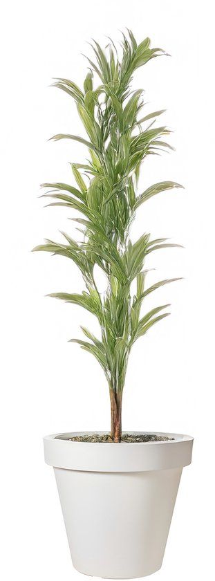 Pro Garden Bloempot - Wit - Rond - 40 cm - Kunststof