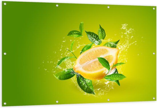 Merkloos / Sans marque Tuinposter - Citroen en Groene Bladeren - 150x100 cm